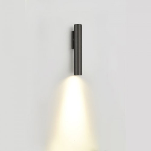 Настенный светильник Compass DL20763W10MS