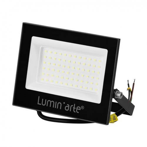 Прожектор уличный  LFL-70W/06