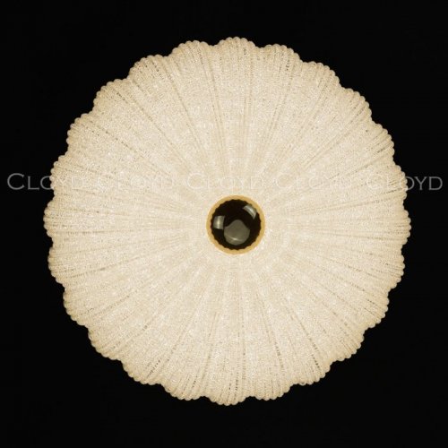 Потолочный светильник Dessa 10372 Потолочный светильник Dessa 10372