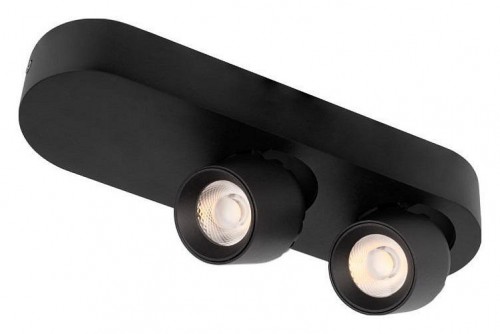 Спот Loft IT Quiet 10320/2 Black