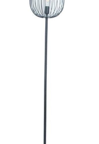 Торшер Alfa Light F3524-43