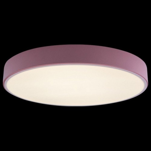Потолочный светильник Loft IT Axel 10002/24 Pink