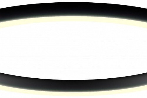 Потолочный светильник 0520822 Потолочный светильник 0520822