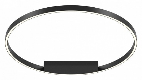 Потолочный светильник Maytoni Rim MOD058CL-L50BK