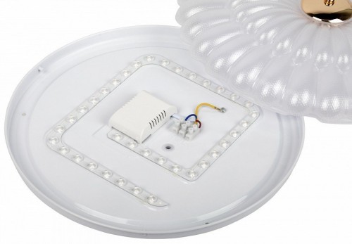 Потолочный светильник ЭРА SPB-6 Chester 48W-5K WH+GD