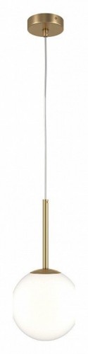 Подвесной светильник Maytoni Basic form MOD321PL-01G2 Подвесной светильник Maytoni Basic form MOD321PL-01G2