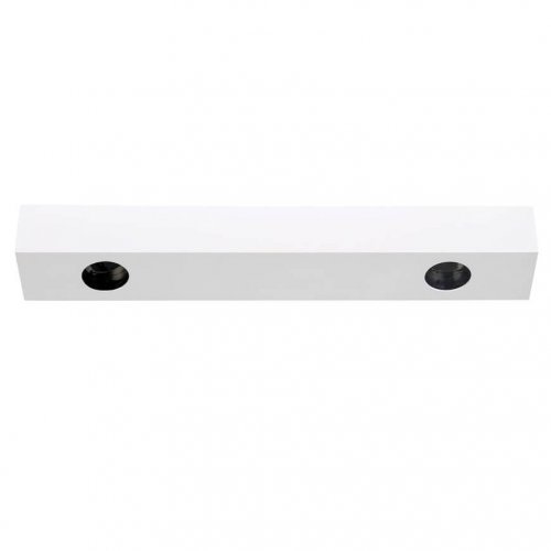 Потолочный светильник DL18629 DL18629/2Kit W Dim
