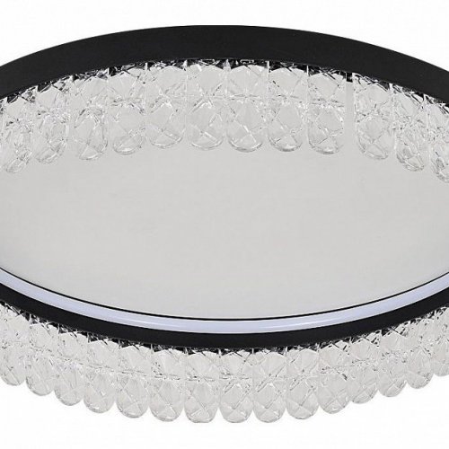 Потолочный светодиодный светильник F-Promo Lunetta 4187-1C