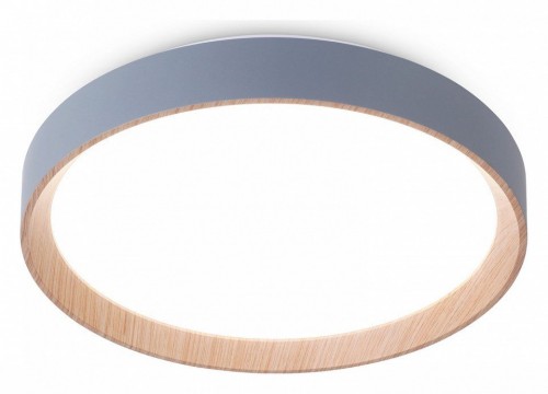 Потолочный светильник Ambrella light Orbital FZ1320