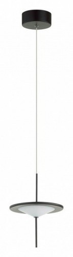 Подвесной светильник Odeon Light Steka 5012/10L