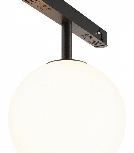 Трековый светильник Maytoni Luna TR038-2-5W3K