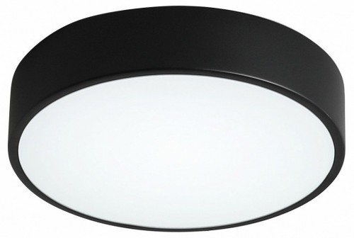 Потолочный светильник Zortes Tortty ZRS.02563.48