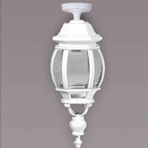 Потолочный светильник уличный Oasis Light AMERICA L 83405LA W