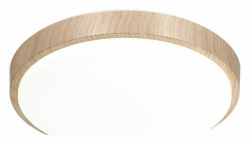 Настенно-потолочный светодиодный светильник Sonex Losta 7607/EL