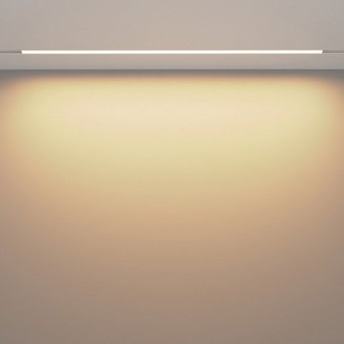 Трековый светильник Basis TR030-2-30W3K-W