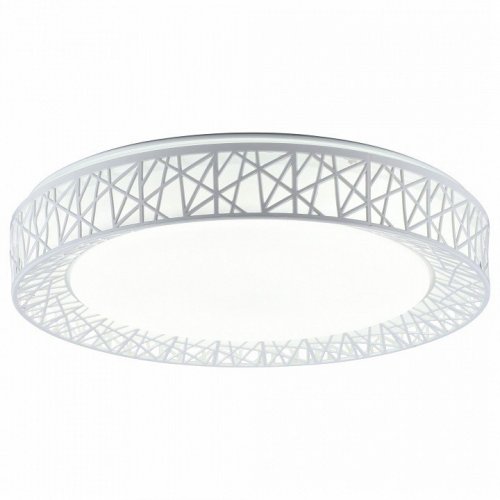 Потолочный светодиодный светильник Toplight Diana TL1204X-72WH