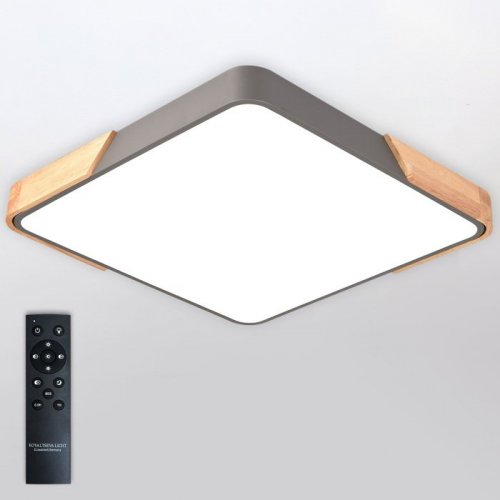 Потолочный светильник Scandinavian LED LAMPS 81413