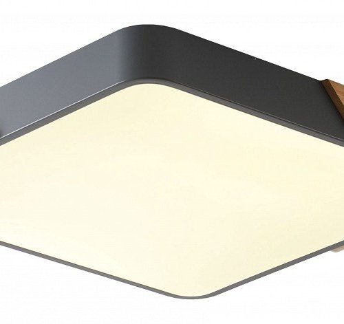 Потолочный светильник Zortes Alberro ZRS.01288.48