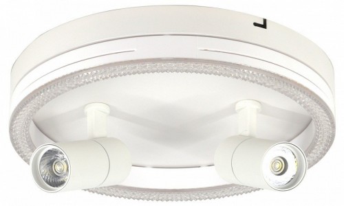 Настенно-потолочный светильник Escada 20044LED 20044SMA/03LED WH