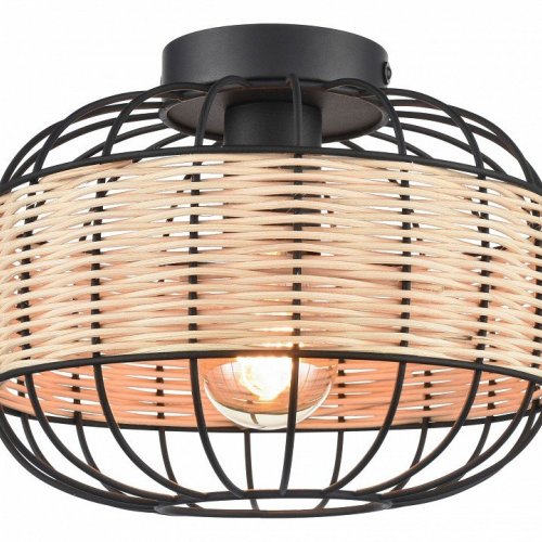 Потолочный светильник Velante 563-717-01