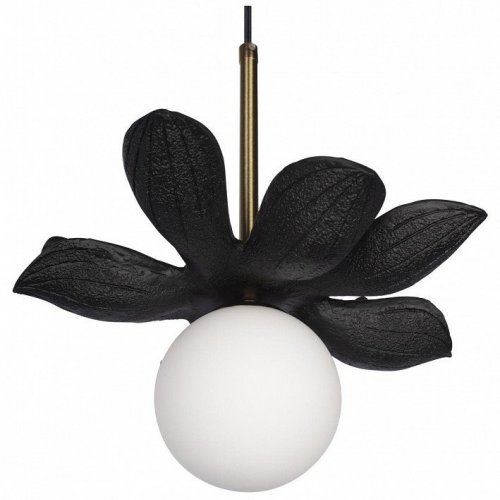 Подвесной светильник Loft IT Monro 10213/B Black Подвесной светильник Loft IT Monro 10213/B Black