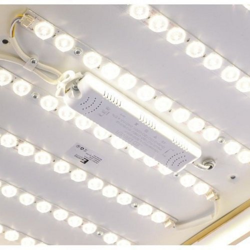 Потолочный светильник Zortes Monna ZRS.1209.09