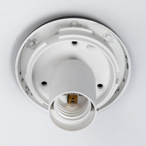 Настенно-потолочный светильник Citilux Ron CL941D25B5