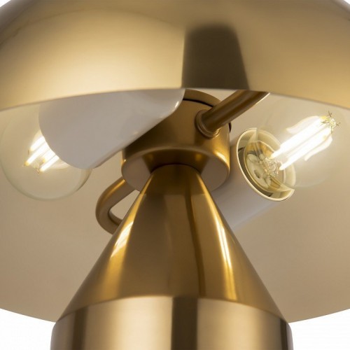 Интерьерная настольная лампа Freya Eleon FR5218TL-01BS