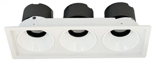 Точечный светильник Wertmark Dorsum WTD.O21.000.30.30 Точечный светильник Wertmark Dorsum WTD.O21.000.30.30