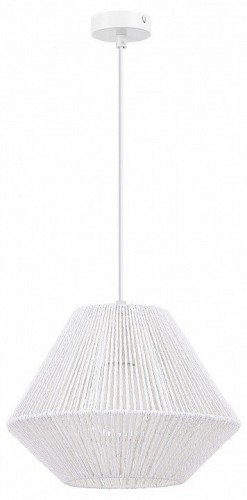Подвесной светильник Evoluce ETTAN SLE6025-503-01 Подвесной светильник Evoluce ETTAN SLE6025-503-01