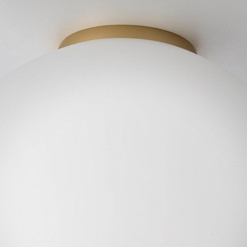 Настенно-потолочный светильник Citilux Ron CL941D25B2