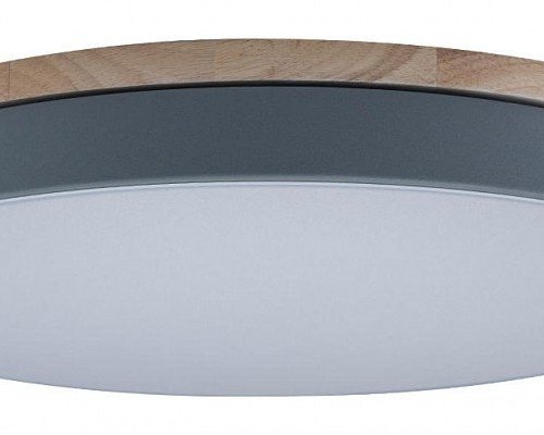 Потолочный светильник Loft IT Axel 10001/36 Grey