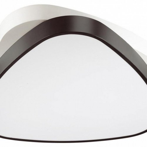 Потолочный светодиодный светильник Lumion Agatha 4510/72CL