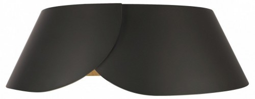 Потолочный светильник Loft IT Lane 10370 Black