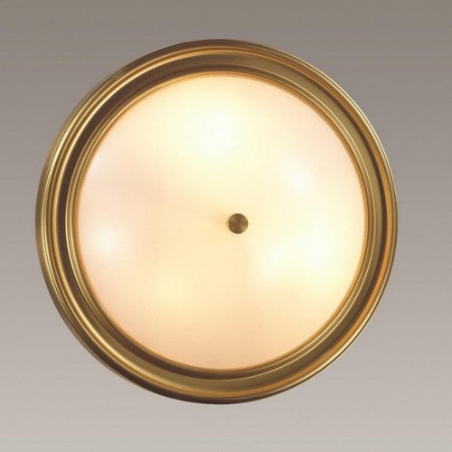 Настенно-потолочный светильник Lumion Nina 5259/3C