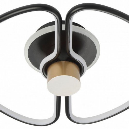 Накладной светильник MW-Light Толедо 312012501 Накладной светильник MW-Light Толедо 312012501