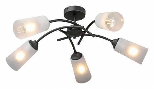 Потолочная люстра Vitaluce V2850-1/5PL