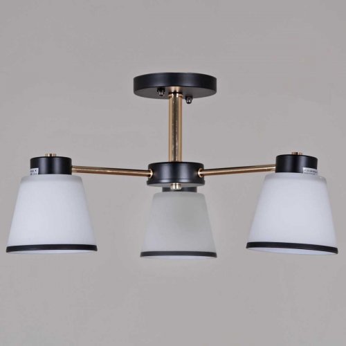 Потолочная люстра Reluce 30560-0.3-03 BK+FG