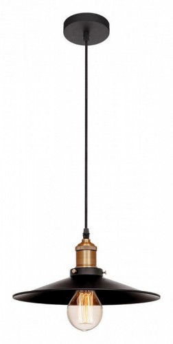 Подвесной светильник Loft IT Loft1102