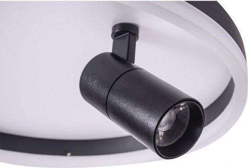 Потолочный светильник Zortes Raizy ZRS.1888.03