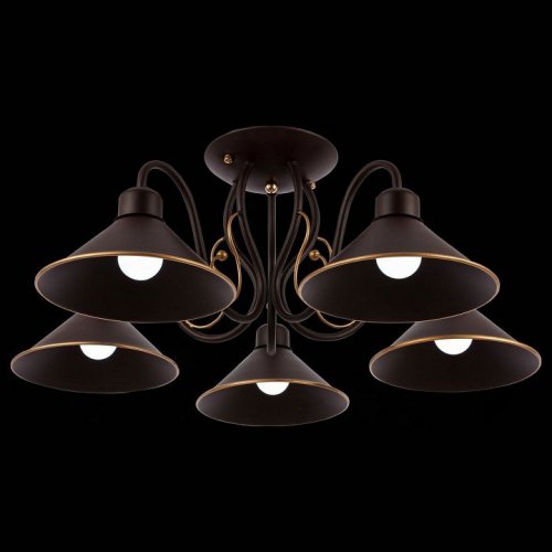 Потолочная люстра Evoluce Ciolla SLE120402-05