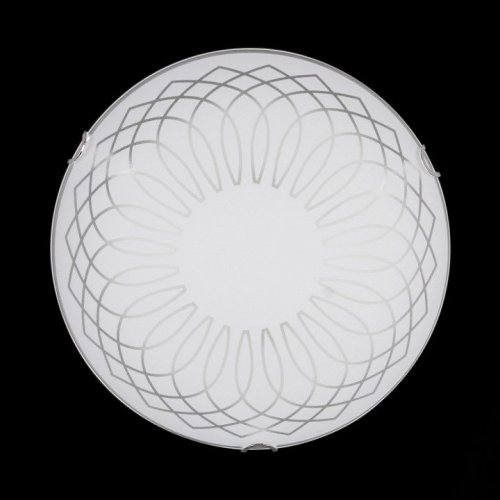 Настенно-потолочный светильник Sneha Гладиолус мат (300) НПБ 01-2х60-001