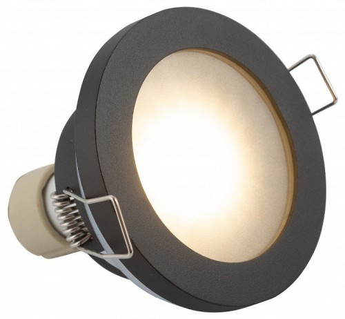 Влагозащищенный накладной светильник Denkirs DK3012-BK