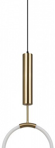 Подвесной светильник Freya Pina FR5387PL-L14BS