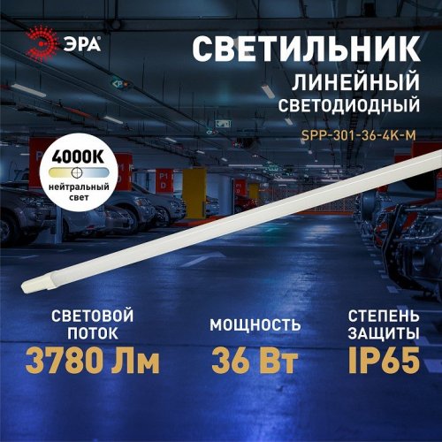 Настенно-потолочный светильник ЭРА SPP-3 SPP-301-36-4K-M Настенно-потолочный светильник ЭРА SPP-3 SPP-301-36-4K-M