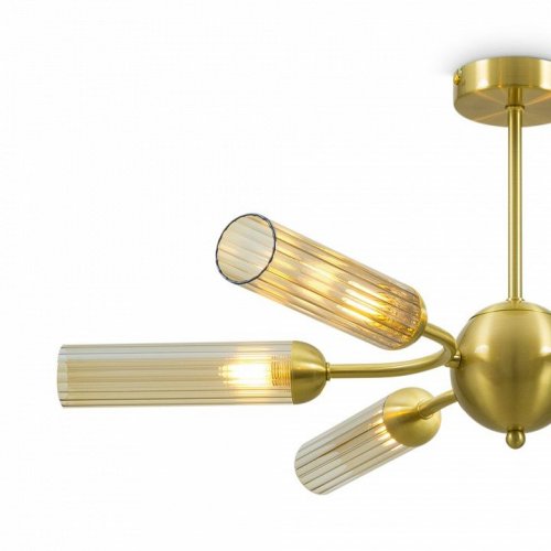 Потолочная люстра Borgy FR5379CL-06G