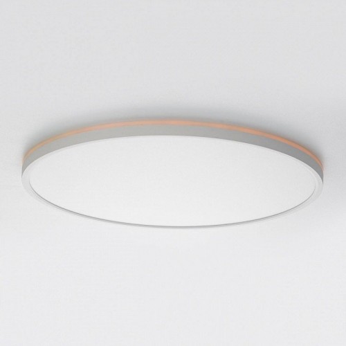 Потолочный светильник Citilux Norma CL749500 Потолочный светильник Citilux Norma CL749500