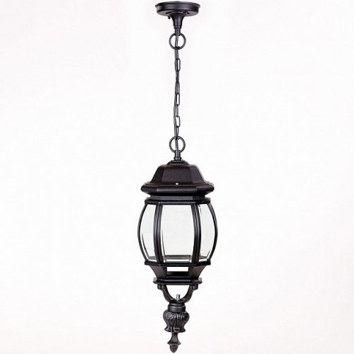 Уличный светильник подвесной Oasis Light 83405L Bl