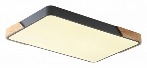 Потолочный светильник Zortes Alberro ZRS.01277.60