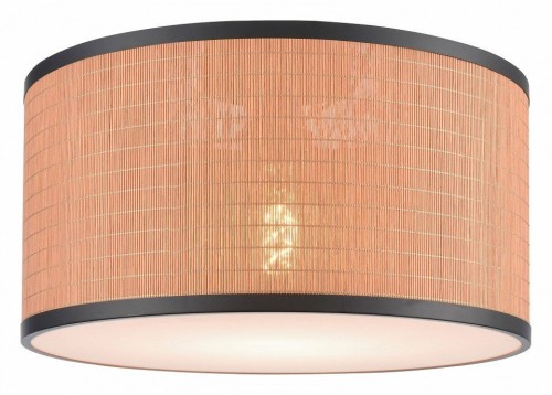 Потолочный светильник Velante 568-707-01